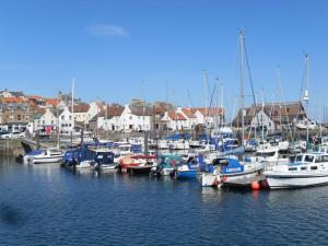 Un montón de barcos están atracados en un puerto en Dreel Cottage, en Anstruther