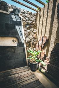Fotografie z fotogalerie ubytování Ocho Bali Surf Camp v destinaci Uluwatu