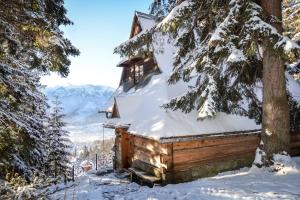 uma cabana coberta de neve na floresta em Chata pod Bukiem 1 em Kościelisko