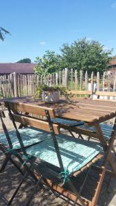 a wooden picnic table with a potted plant on it at Hof Heideland 1 in Eichholz