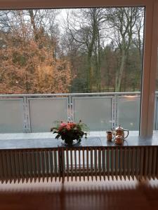 オルデンブルクにあるApartment mit Blick auf das Eversten Holz 42qmの花瓶をテーブルに置いた窓