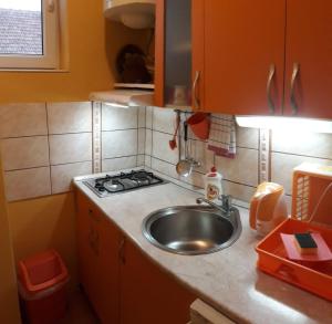 a kitchen with a sink and a stove at Biser apartmani in Vrdnik
