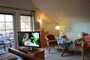TV a/nebo společenská místnost v ubytování Gartentraum