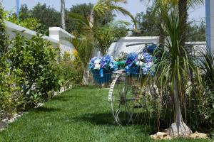 Un jardín fuera de Villa Eraclea 51 fotos más