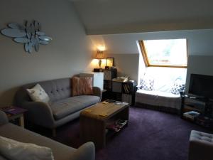 ein Wohnzimmer mit einem Sofa und einem Fenster in der Unterkunft Twin Oaks Bed & Breakfast in Kilkenny