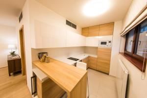 A kitchen or kitchenette at Residence "Park Nikolajka" 3