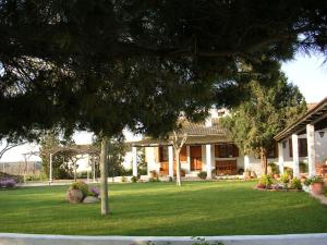 una casa con un patio verde con un árbol en CASA RURAL PARAJE LUCO en Quinto