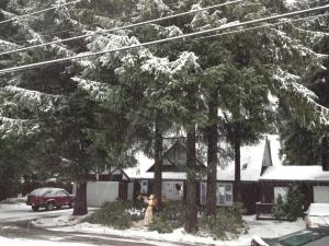 Glacier Guest Room - PRIVATE ROOM IN SHARED HOUSE REDUCED PRICE ON TOURS v zimě