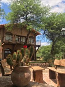 Vườn quanh La Casa De La Bodega - Wine Boutique Hotel
