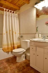 a bathroom with a toilet and a sink at Mas Meya in Puigcerdà