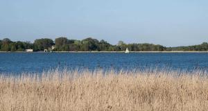 Loodusmaastik puhkemaja lähedal