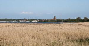 a field of tall brown grass with a building in the background at K03 Fischerkaten MARET max 4 Pers in Dorf Körkwitz