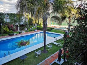 an overhead view of a swimming pool with palm trees at Mansion Tepotzotlan in Tepotzotlán