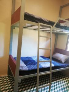 Двухъярусная кровать или двухъярусные кровати в номере Bike&Bed