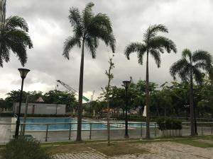 a group of palm trees next to a swimming pool at Nancy Bridge View A1206 in Ho Chi Minh City