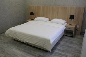 Gallery image of Hotel Inju Hills in Astana