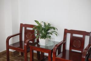 a table with two chairs and a potted plant on it at Lavender Hotel in Can Tho