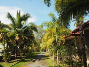 una carretera bordeada de palmeras junto a una casa en Coconut Bungalow, en Nai Yang Beach