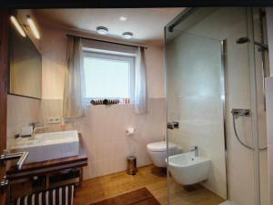 a bathroom with a sink and a toilet and a glass shower at Apartments Cornelia in Castelrotto