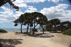 Gallery image of Villa in Marathonos in Schinias