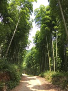 住宿加早餐旅馆周边自然景观