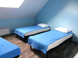 ラギオールにあるGITE DU FORAILの青い壁の部屋にベッドが2つある