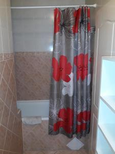 y baño con ducha y cortina de ducha. en Márti 3 Bedroom Apartment en Debrecen