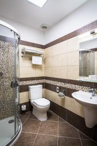 a bathroom with a toilet and a sink at Holzberg in Suchá Rudná