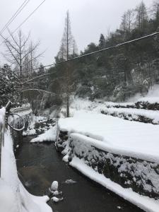 冬天的莫干山竹景山庄