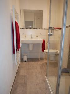 ein Bad mit einem Waschbecken, einem WC und einer Dusche in der Unterkunft Haus Nethegau in Bad Driburg