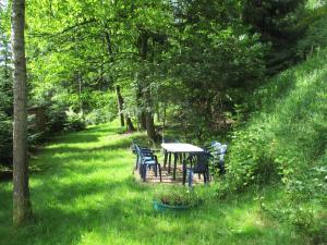 a table and chairs in the grass in a yard at Ferienwohnung "Waldesruh" in Eibenstock
