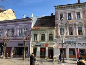 a group of buildings on a city street with pigeons at DD Studio Deluxe in Sibiu