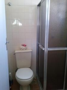 a bathroom with a toilet and a shower at Recanto do descanso in Iguaba Grande