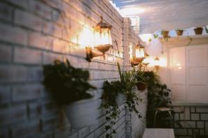 Fotografie z fotogalerie ubytování BKV Homestay v destinaci Da Lat