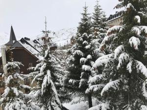 a group of snow covered trees in front of a house at Anayet Sweet Home in Formigal