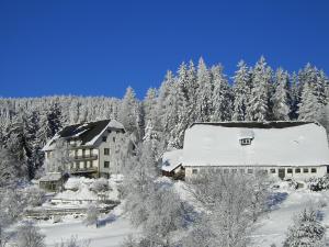 a building covered in snow in front of a forest at Urlaub am Bauernhof Grabenhofer in Sankt Jakob im Walde