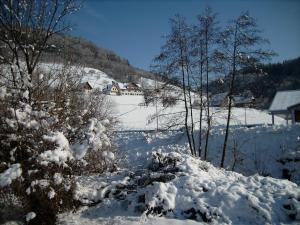 een met sneeuw bedekt veld met huizen op de achtergrond bij Finken, Gästezimmer an der Rench in Oppenau