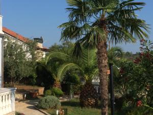 Vonkajšia záhrada v ubytovaní Apartmani Misic