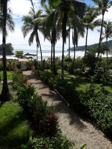 a pathway with palm trees and a beach at Cabaña El Bien Germina Ya in El Valle