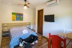 Schlafzimmer mit einem Bett und einem Flachbild-TV in der Unterkunft Pousada Miracolo in Paraty