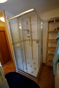 eine Dusche mit Glaskabine im Bad in der Unterkunft Sattelberg in Ramsau am Dachstein