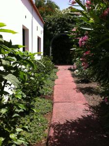 Ogród w obiekcie Bungalow La Datura