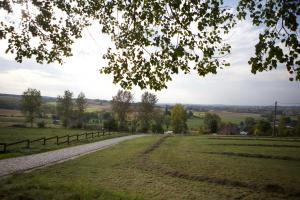 Příroda nedaleko bed and breakfast