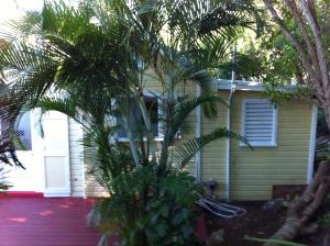 a palm tree in front of a house at Calabash Cottage in Five Islands Village