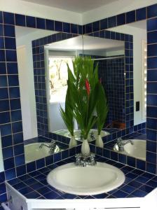 a bathroom with two sinks and a vase with a plant at Calabash Cottage in Five Islands Village