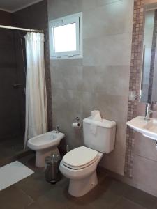 a bathroom with a toilet and a sink at Hotel Parador Ruta 40 in Gobernador Gregores