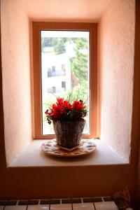 Roccaraso Relais في روكاراسو: مزهرية مع الزهور الحمراء تقف على حافة النافذة