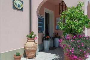 Zahrada ubytování Hotel Al Terra Di Mare