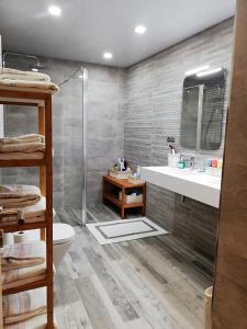 een badkamer met een douche, een wastafel en een toilet bij Apartamento Merceria - Tarragona in Tarragona