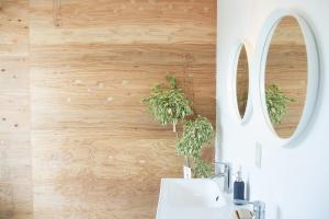 baño con lavabo y 2 plantas en la pared en MEEDAFU'S YUI HOSTEL and COFFEE, en Yoron